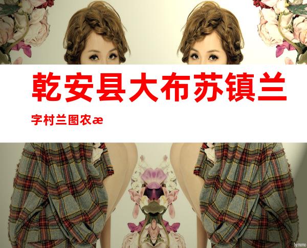 乾安县大布苏镇兰字村兰图农机种植专业合作社