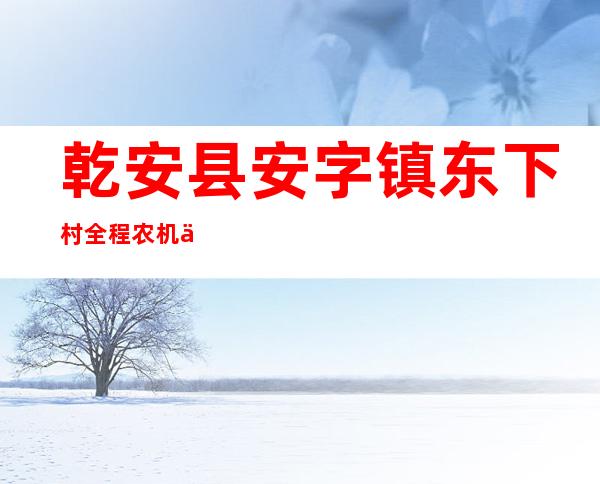 乾安县安字镇东下村全程农机专业合作社