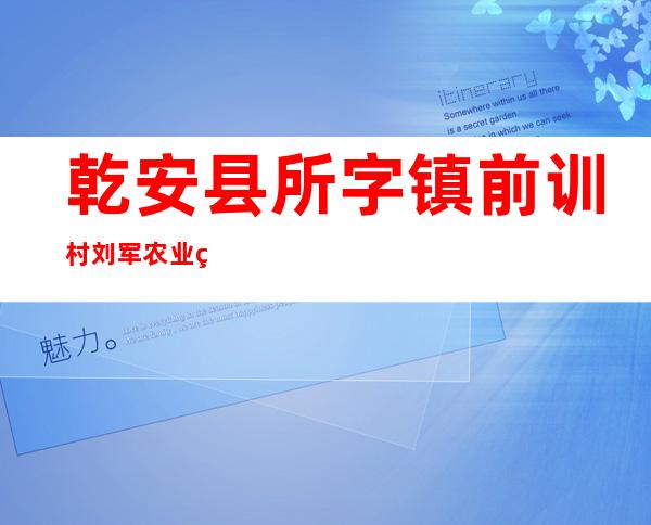 乾安县所字镇前训村刘军农业种植专业合作社