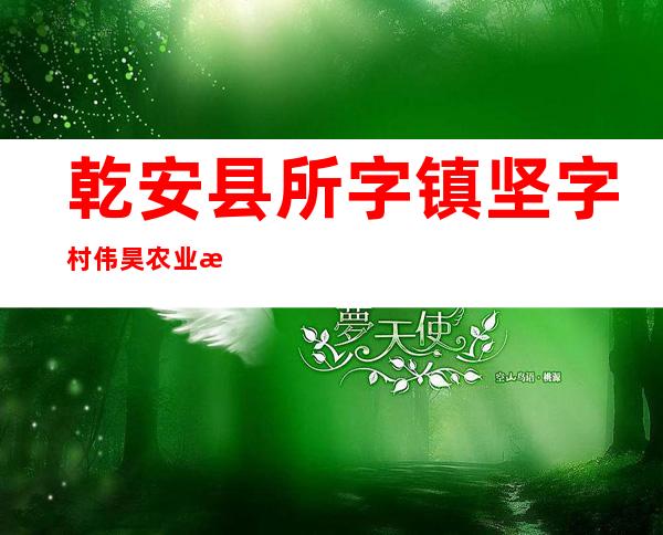 乾安县所字镇坚字村伟昊农业机械种植专业合作社