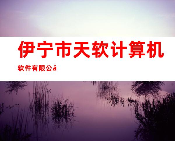 伊宁市天软计算机软件有限公司
