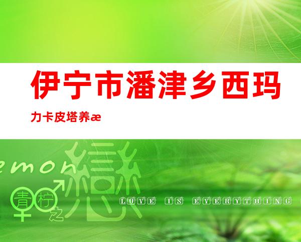 伊宁市潘津乡西玛力卡皮塔养殖专业合作社