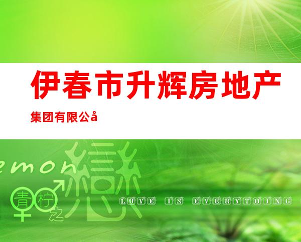 伊春市升辉房地产集团有限公司