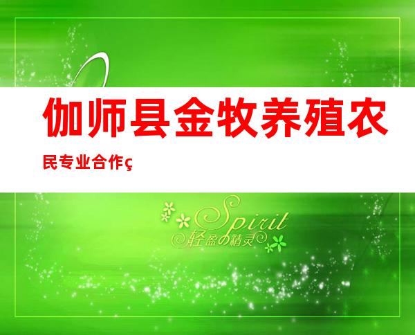 伽师县金牧养殖农民专业合作社