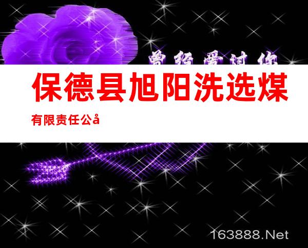 保德县旭阳洗选煤有限责任公司
