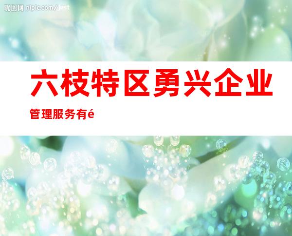 六枝特区勇兴企业管理服务有限公司
