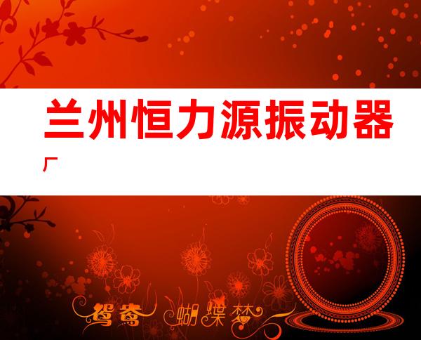 兰州恒力源振动器厂