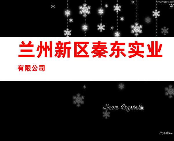 兰州新区秦东实业有限公司