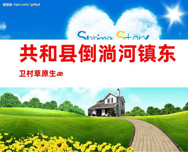 共和县倒淌河镇东卫村草原生态畜牧业专业合作社