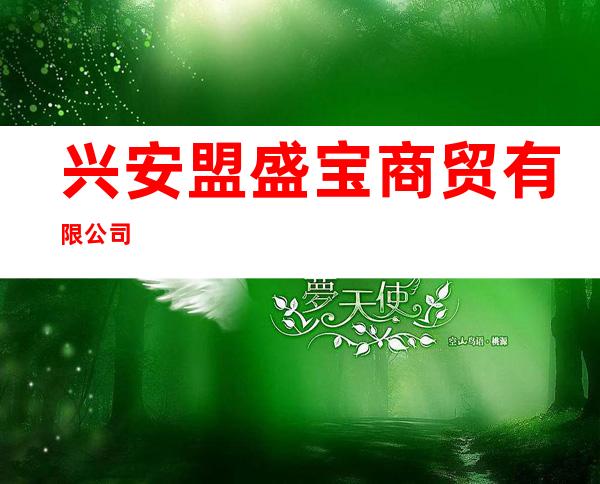 兴安盟盛宝商贸有限公司