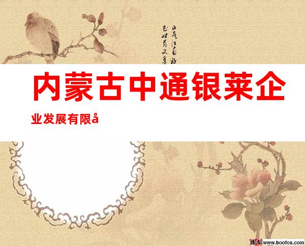 内蒙古中通银莱企业发展有限公司