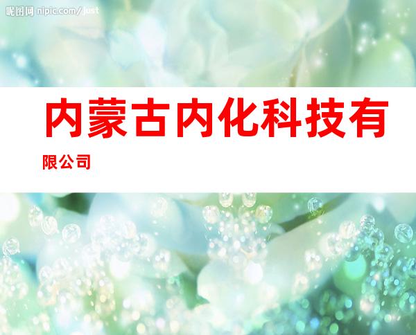 内蒙古内化科技有限公司