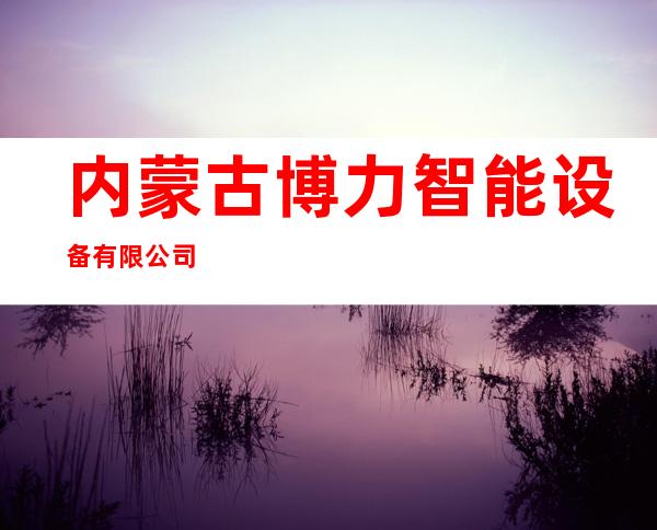 内蒙古博力智能设备有限公司
