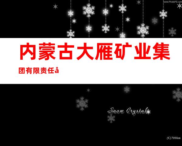 内蒙古大雁矿业集团有限责任公司热电总厂