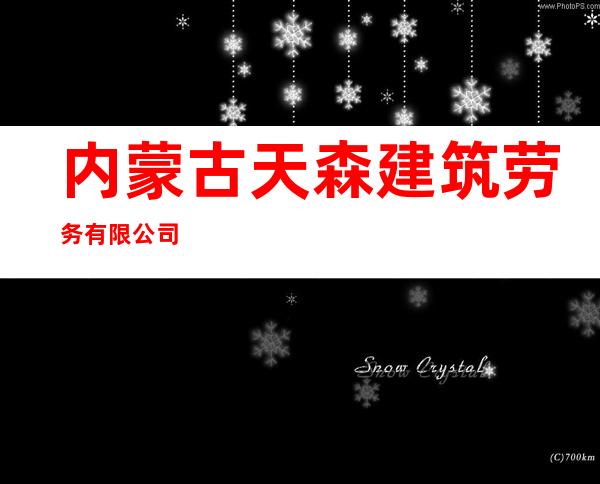 内蒙古天森建筑劳务有限公司