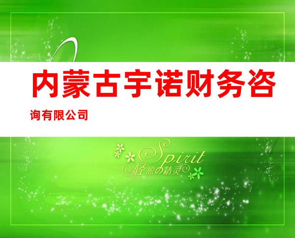 内蒙古宇诺财务咨询有限公司