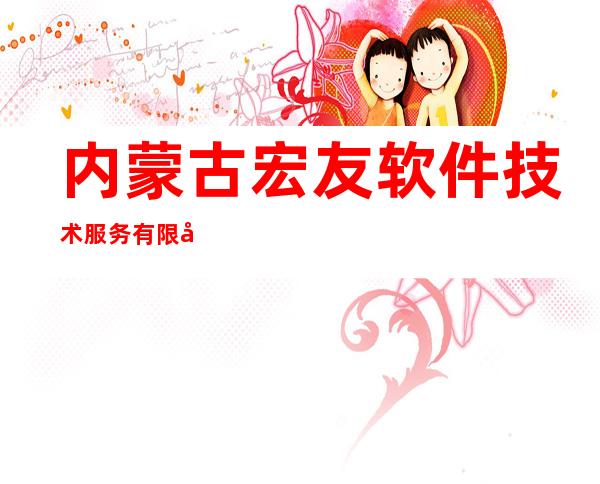 内蒙古宏友软件技术服务有限公司