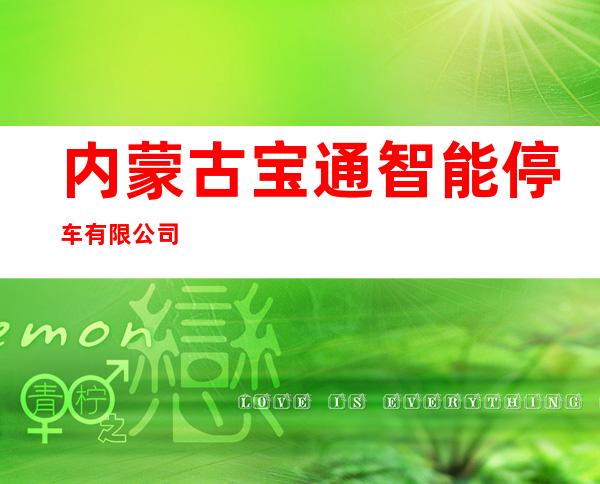 内蒙古宝通智能停车有限公司
