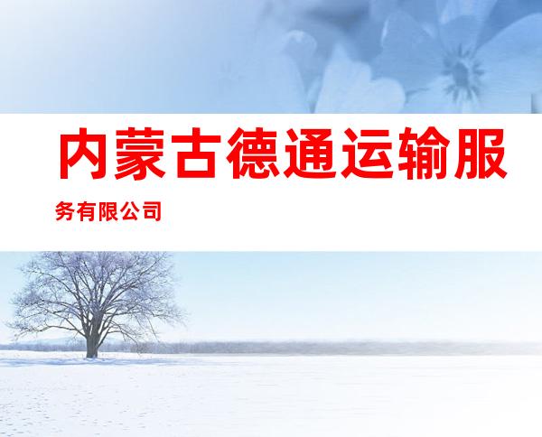 内蒙古德通运输服务有限公司