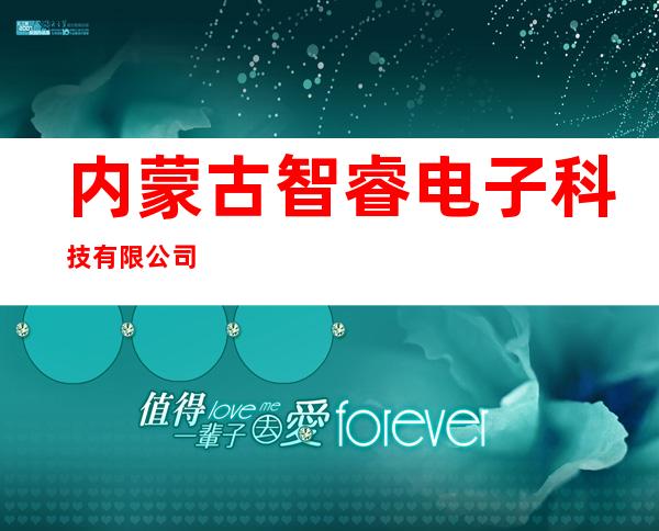 内蒙古智睿电子科技有限公司