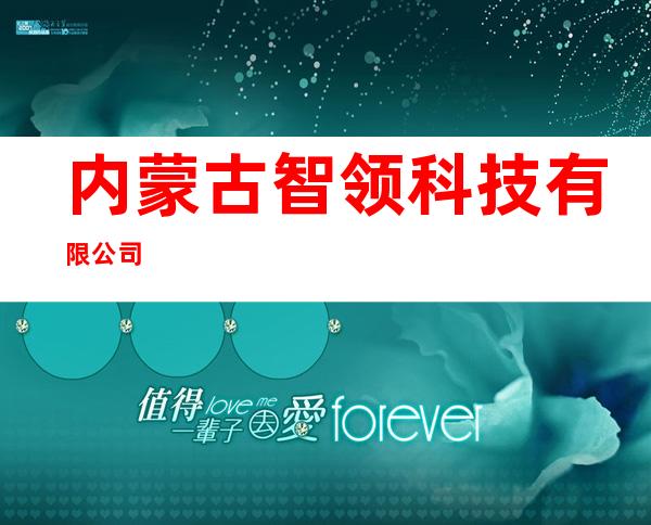 内蒙古智领科技有限公司