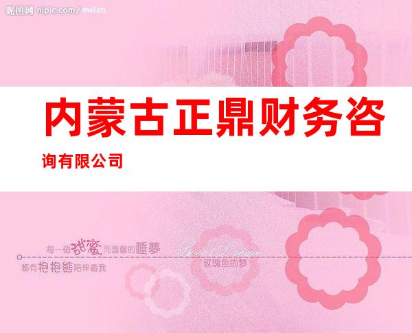 内蒙古正鼎财务咨询有限公司