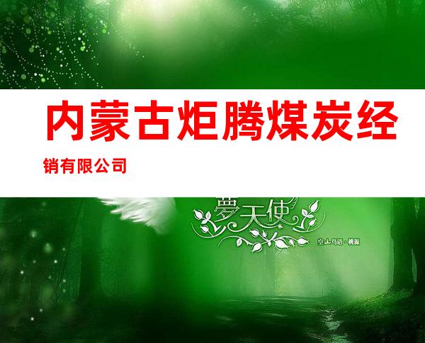 内蒙古炬腾煤炭经销有限公司