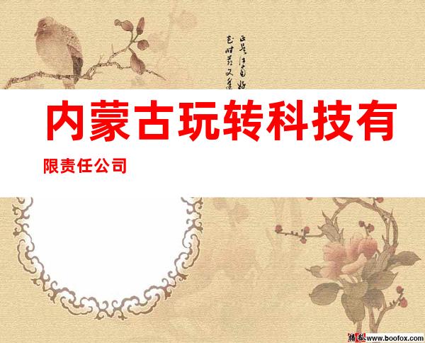 内蒙古玩转科技有限责任公司