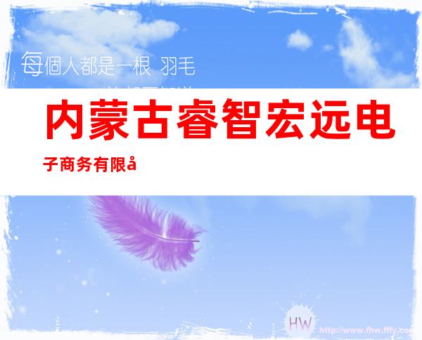 内蒙古睿智宏远电子商务有限公司
