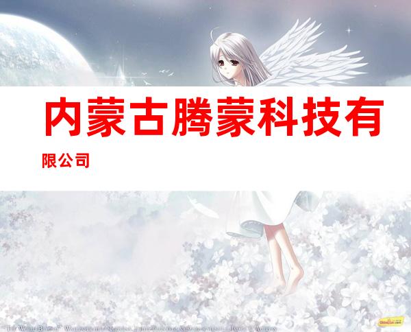 内蒙古腾蒙科技有限公司