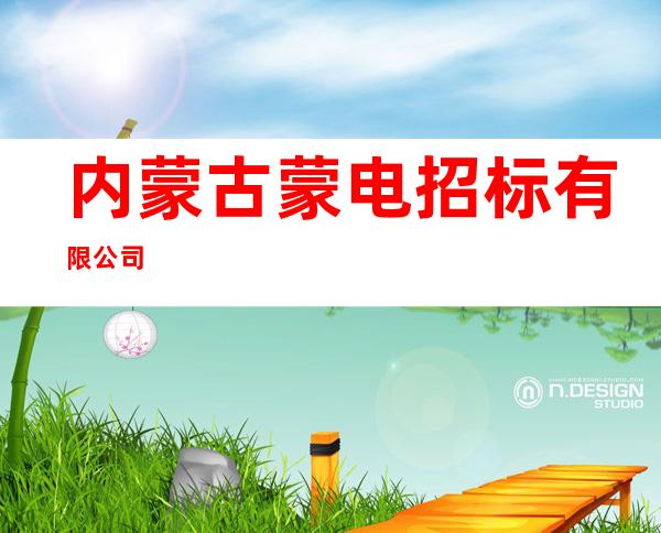 内蒙古蒙电招标有限公司