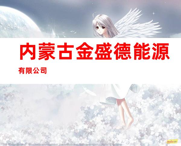 内蒙古金盛德能源有限公司