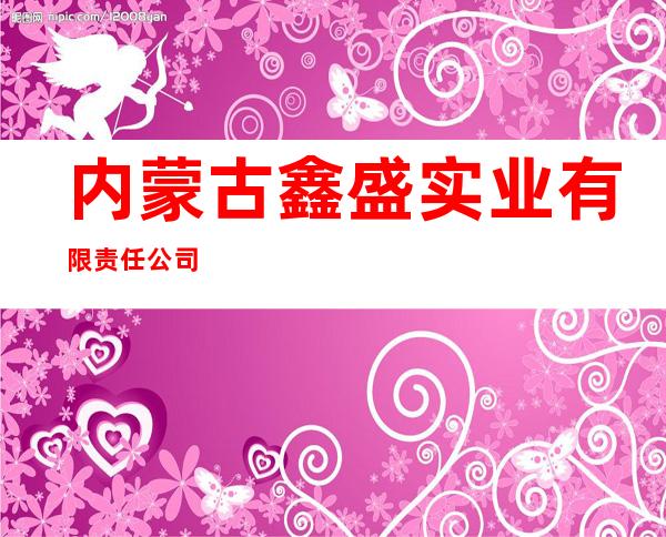 内蒙古鑫盛实业有限责任公司
