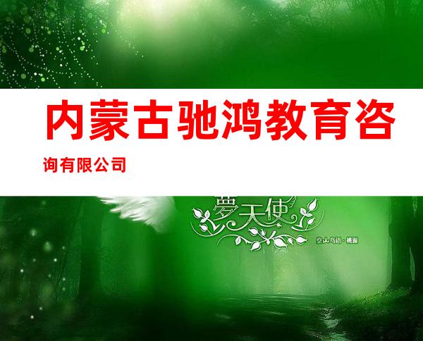 内蒙古驰鸿教育咨询有限公司