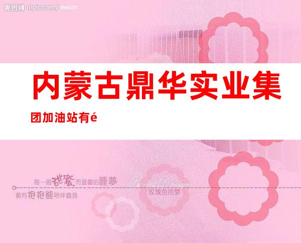 内蒙古鼎华实业集团加油站有限责任公司