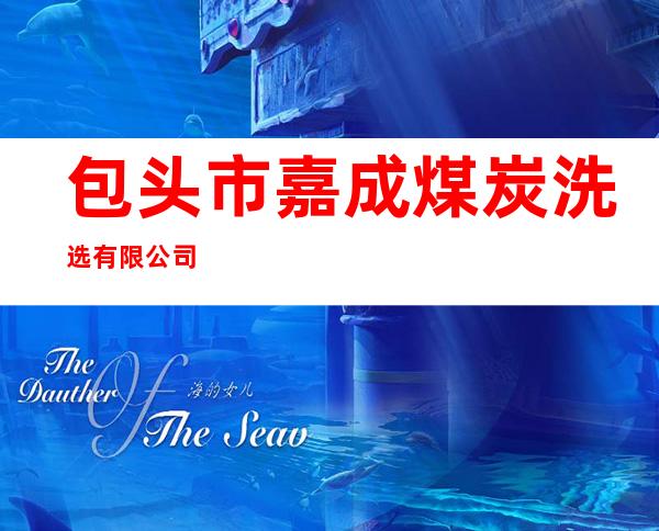 包头市嘉成煤炭洗选有限公司