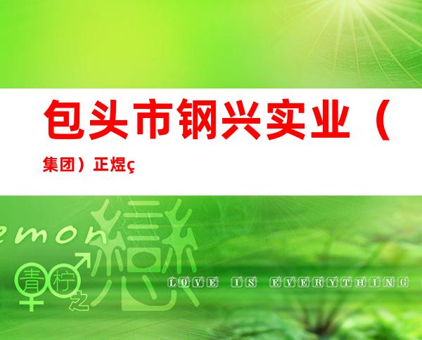 包头市钢兴实业(集团)正煜环保节能有限公司