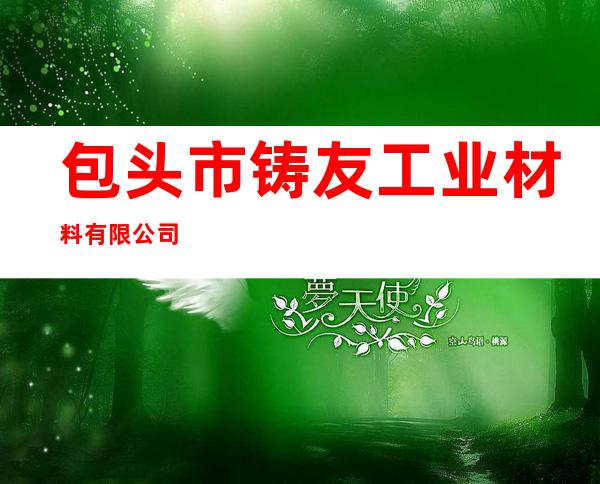 包头市铸友工业材料有限公司