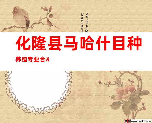 化隆县马哈什目种养殖专业合作社