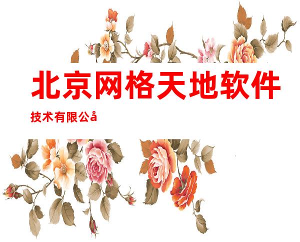 北京网格天地软件技术有限公司