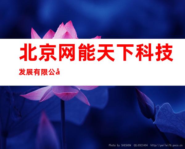北京网能天下科技发展有限公司