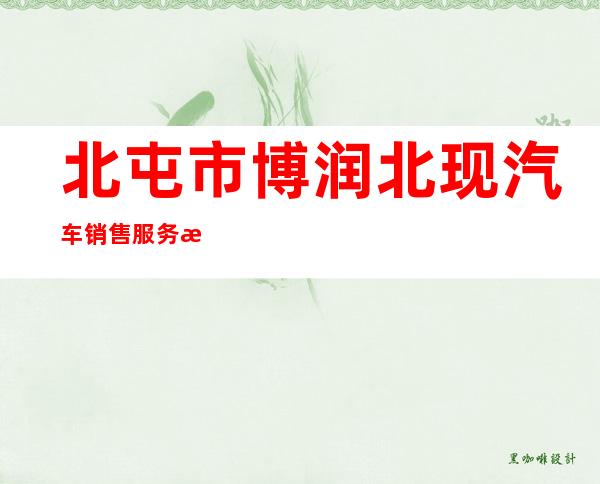 北屯市博润北现汽车销售服务有限公司