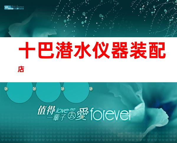 十巴潜水仪器装配店