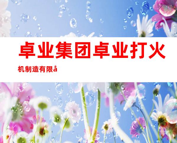 卓业集团/卓业打火机制造有限公司