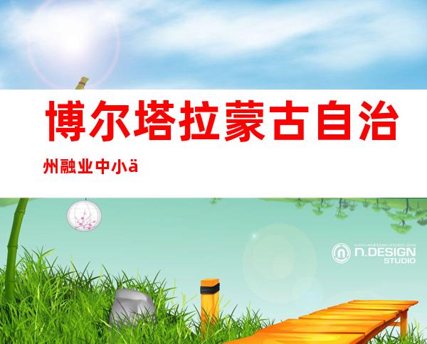 博尔塔拉蒙古自治州融业中小企业服务有限公司