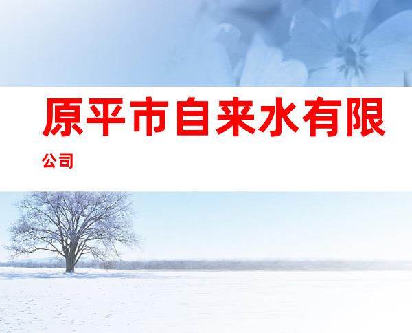 原平市自来水有限公司