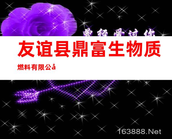 友谊县鼎富生物质燃料有限公司