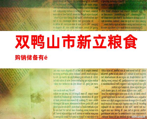 双鸭山市新立粮食购销储备有限公司