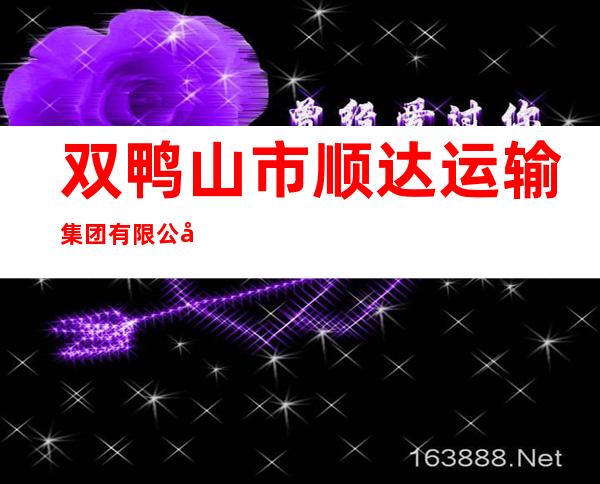 双鸭山市顺达运输集团有限公司机动车驾驶员培训学校