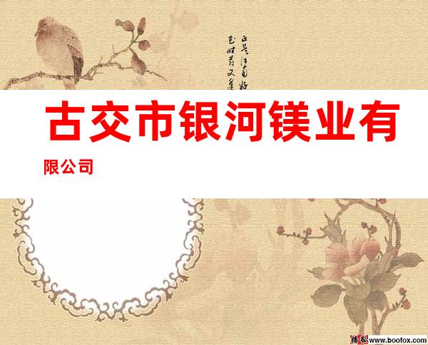 古交市银河镁业有限公司